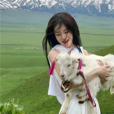 芭比之梦幻仙境