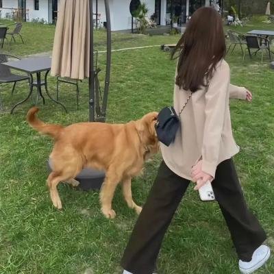 关于世界末日的不明确报告